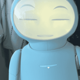 Stefna_Rap AI Voice