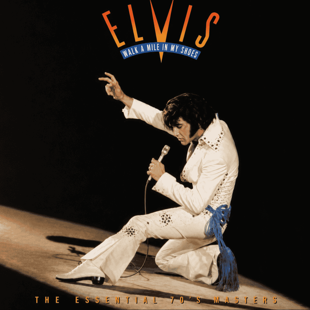 Elvis Presley - The Wonder Of You  AI Voice
