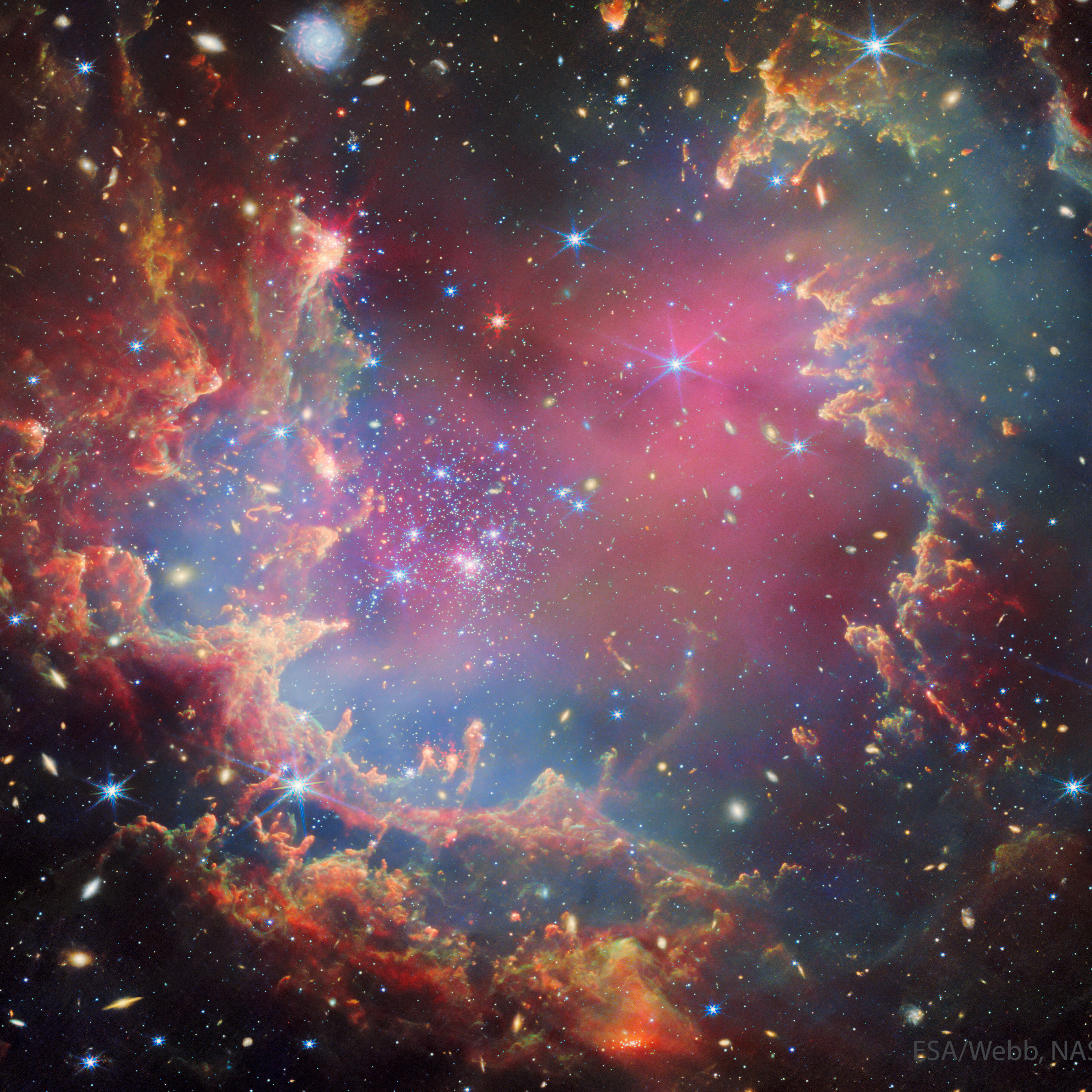 sporeguy98 profile picture