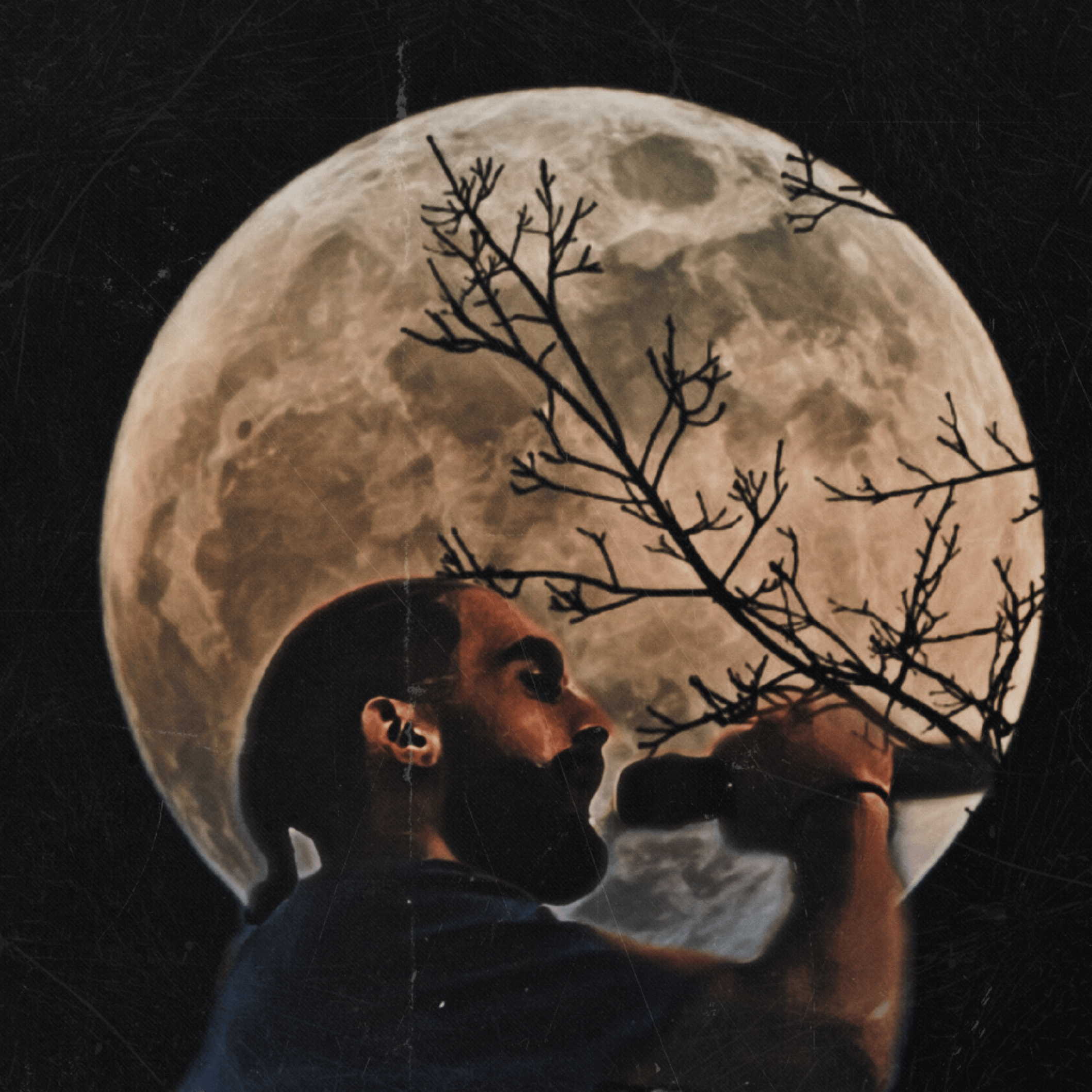 raabsm profile picture