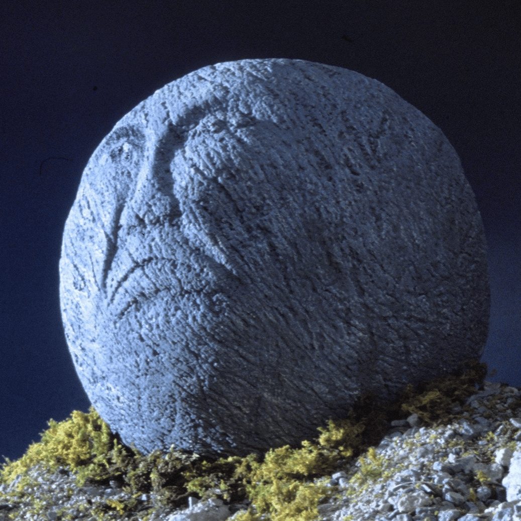 skar3744 profile picture