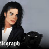 ArianaBeatriz419 profile picture