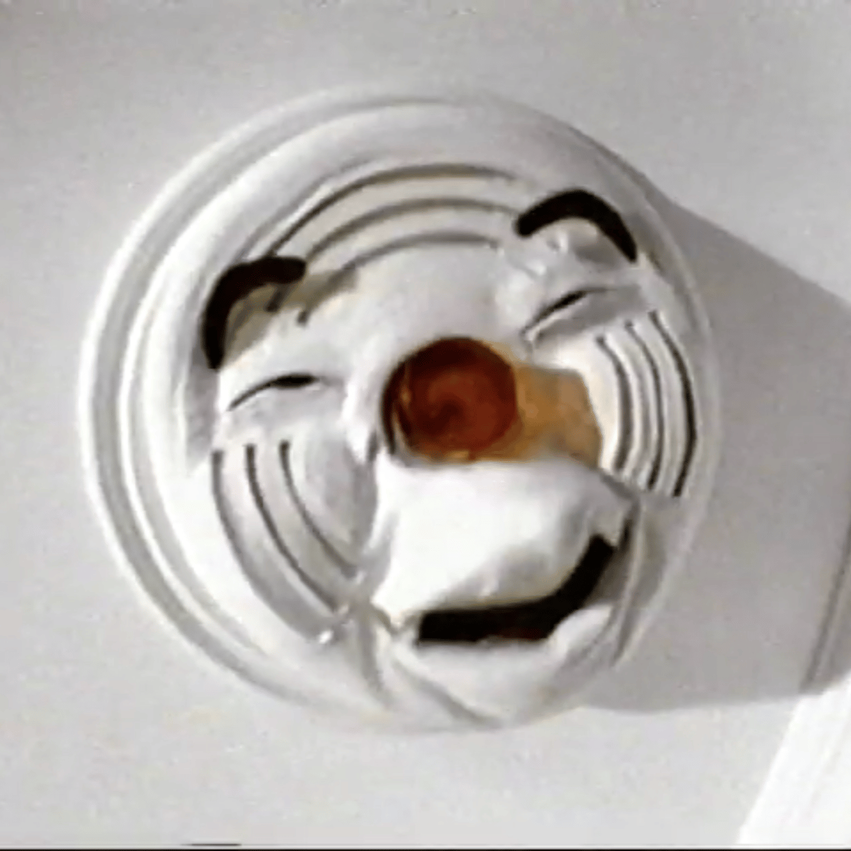 SmokeDetector profile picture