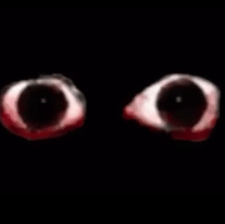 beatrizcorvalan profile picture