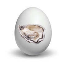 OysterEgg profile picture