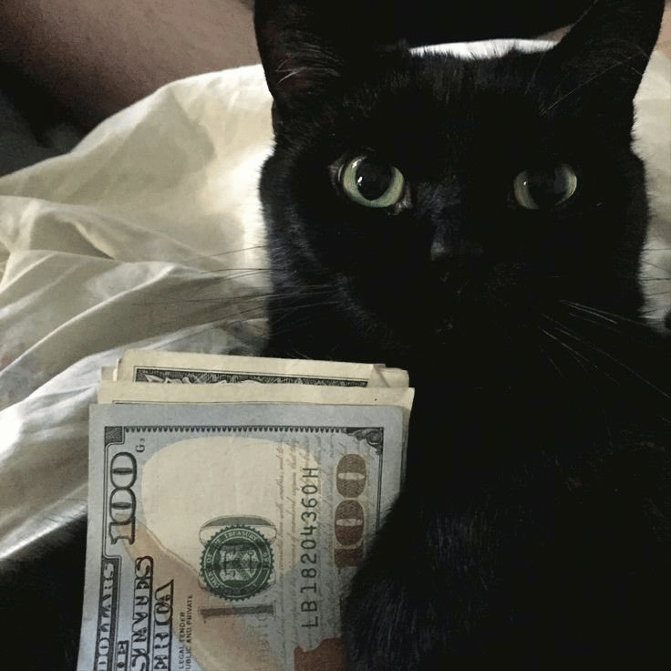 Phencen profile picture