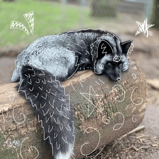 CoyoteSharpy0npawzz profile picture