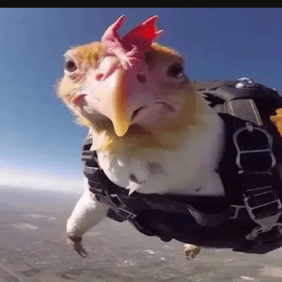 AbbaAmma profile picture