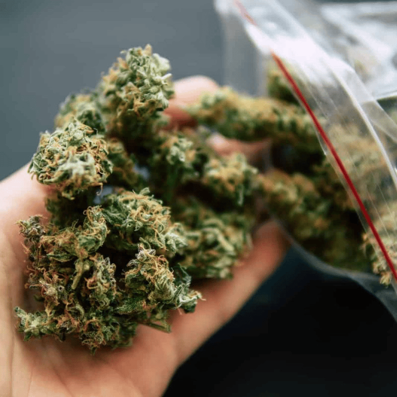 Moneybag profile picture