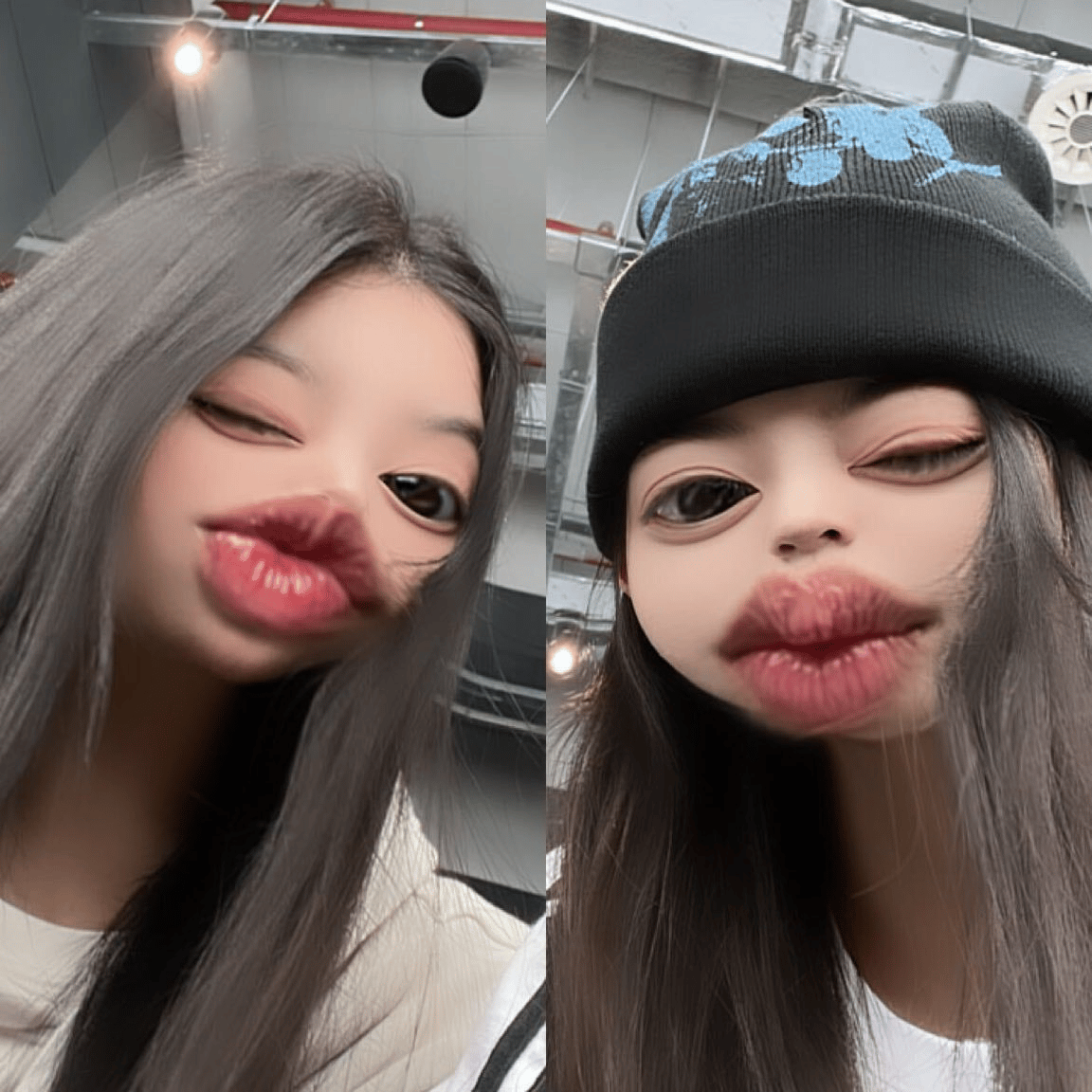 njszeo profile picture