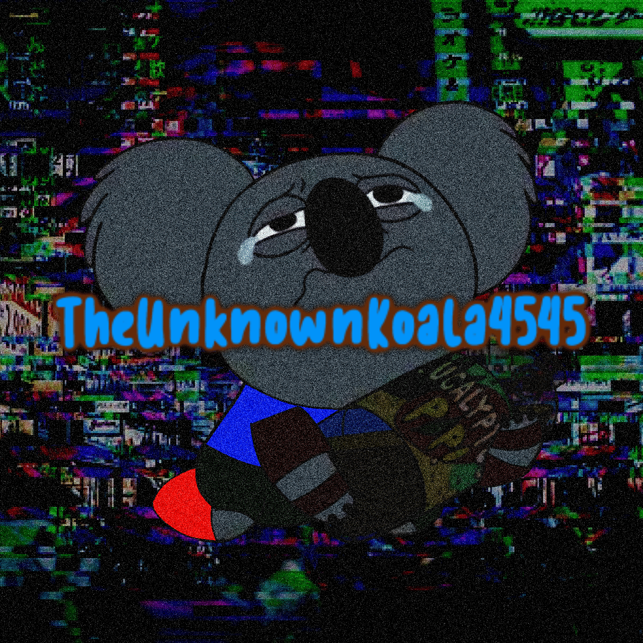 TheUnknownKoala4545 profile picture