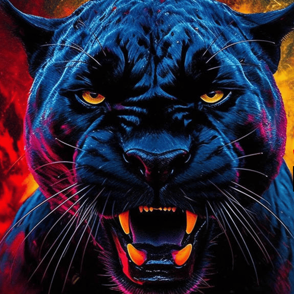 AustinWildcat profile picture