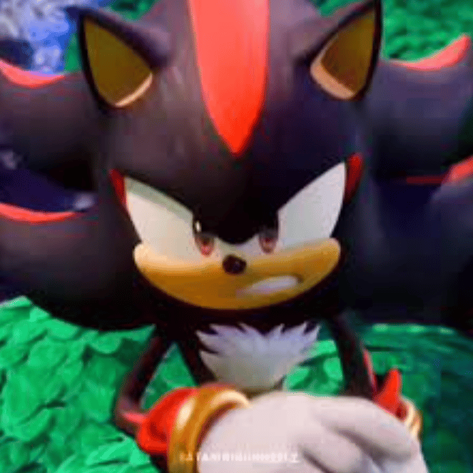 Shadowthehedgehog7873 profile picture