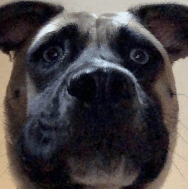 Woofdy_Do profile picture