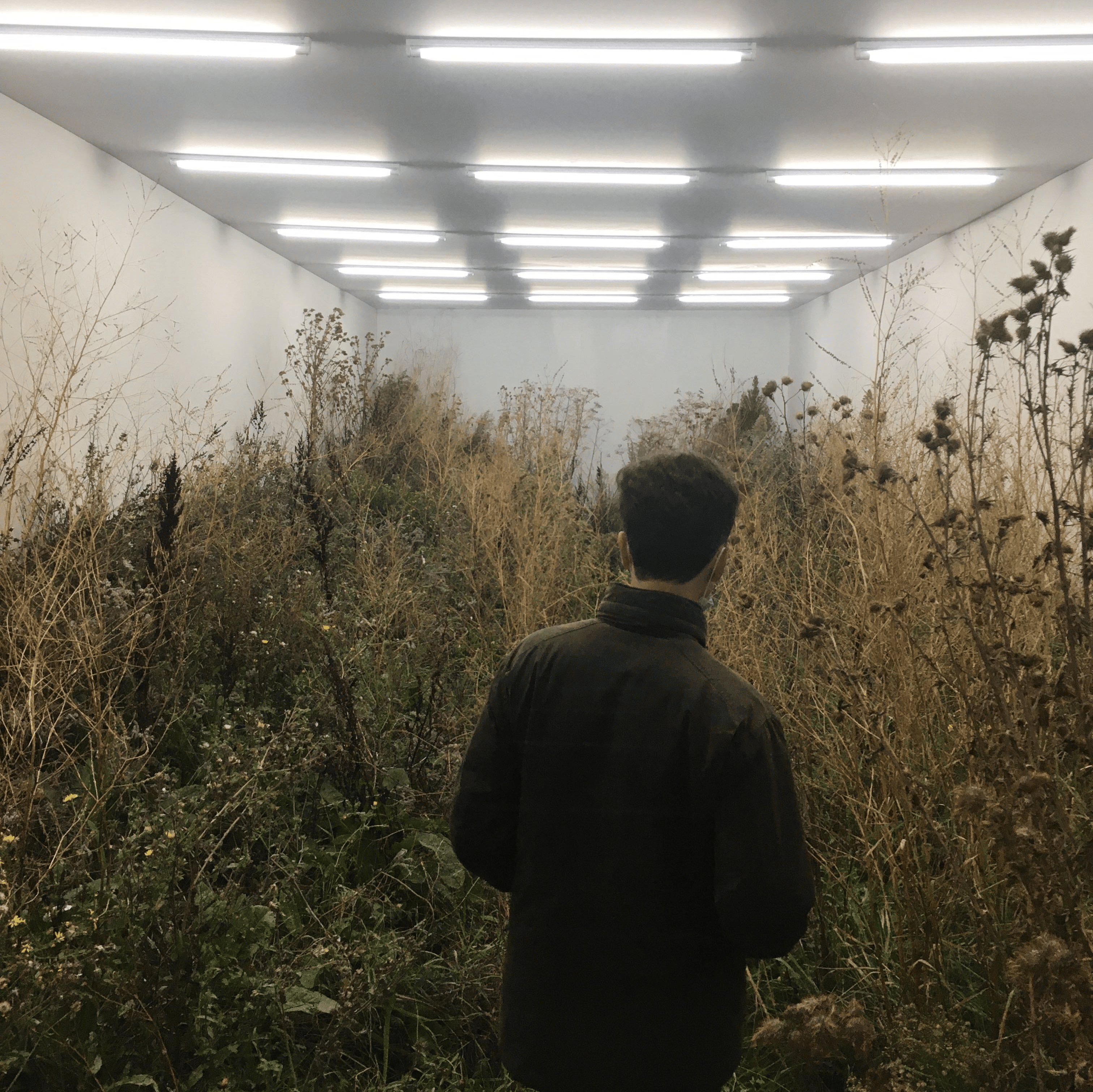 RodolpheMacabo profile picture