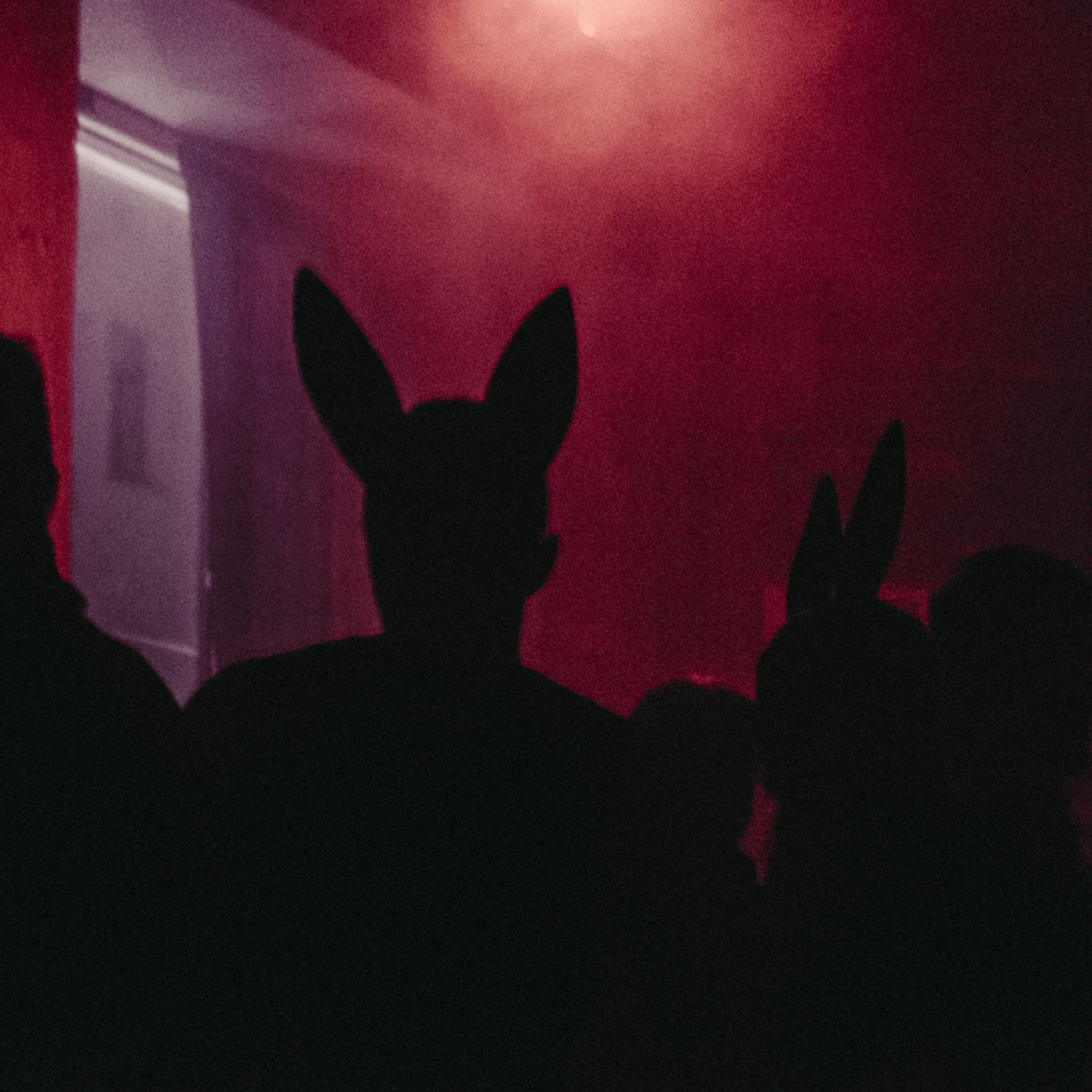 Nicky Meadow profile picture