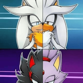 SilverThehedgehog372 profile picture
