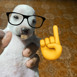 Alonso3497 profile picture