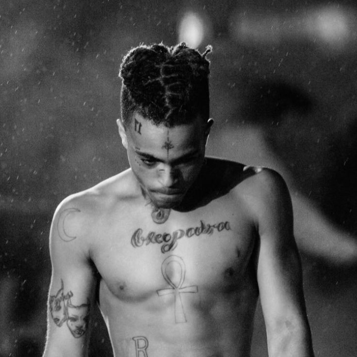 Nixi748 profile picture