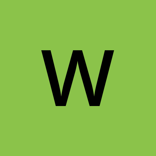 WellesonVieira profile picture