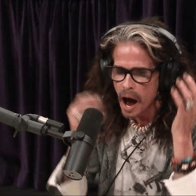 StevenTyler AI Voice