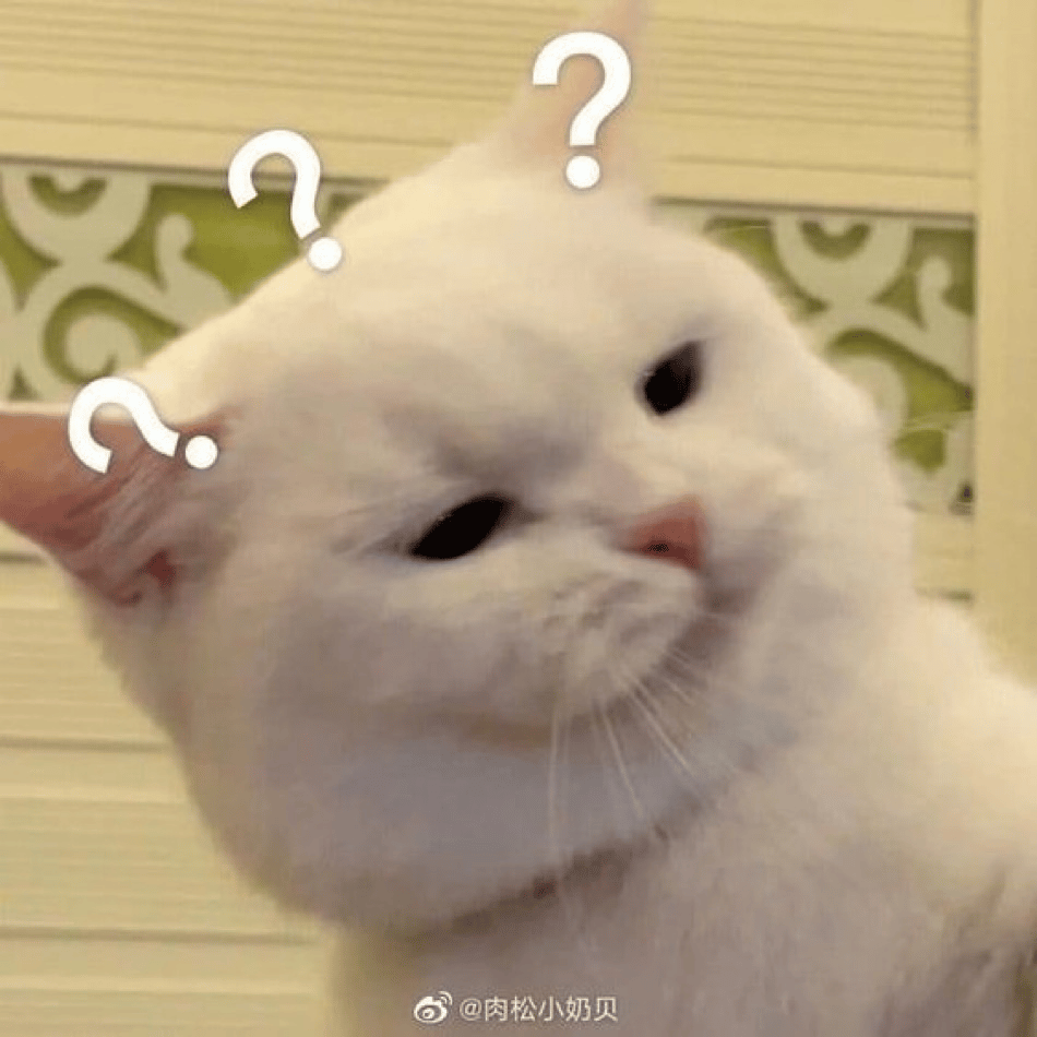 Voice AI Voice