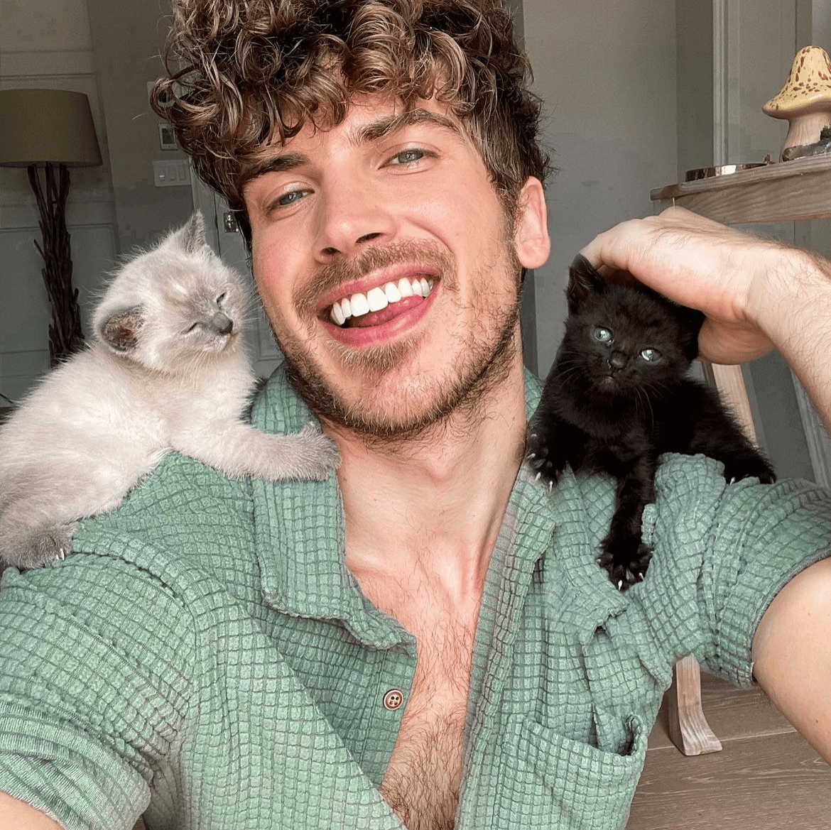 Joey Graceffa AI Voice