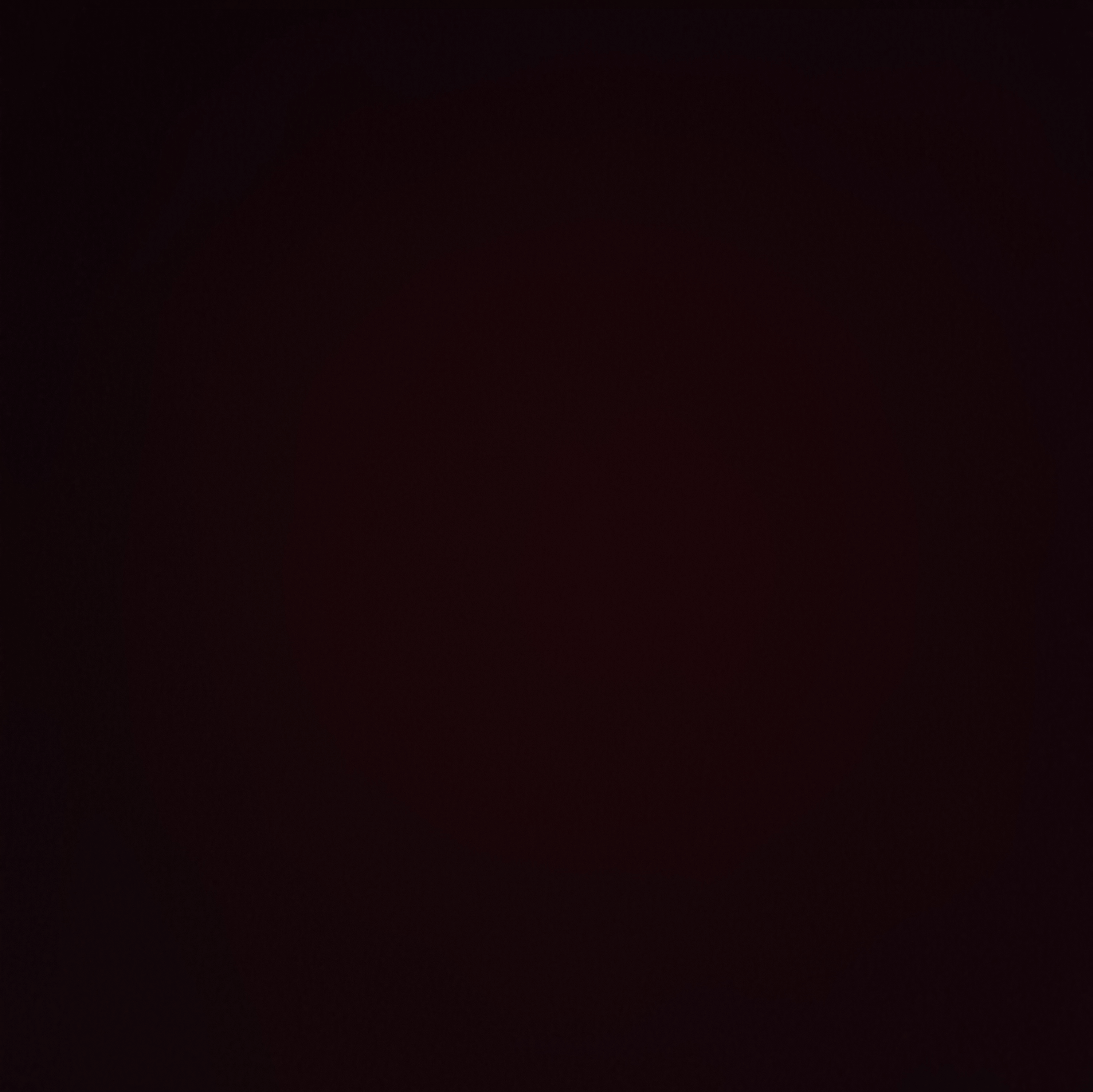 Voice AI Voice