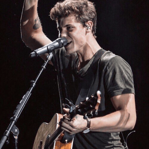 Shawn Mendes Illuminate AI Voice