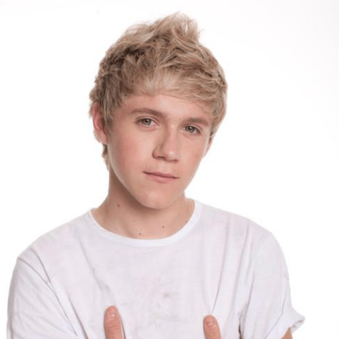 Niall H -2011 AI Voice