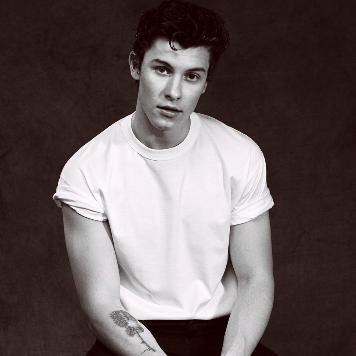 Shawn Mendes AI Voice