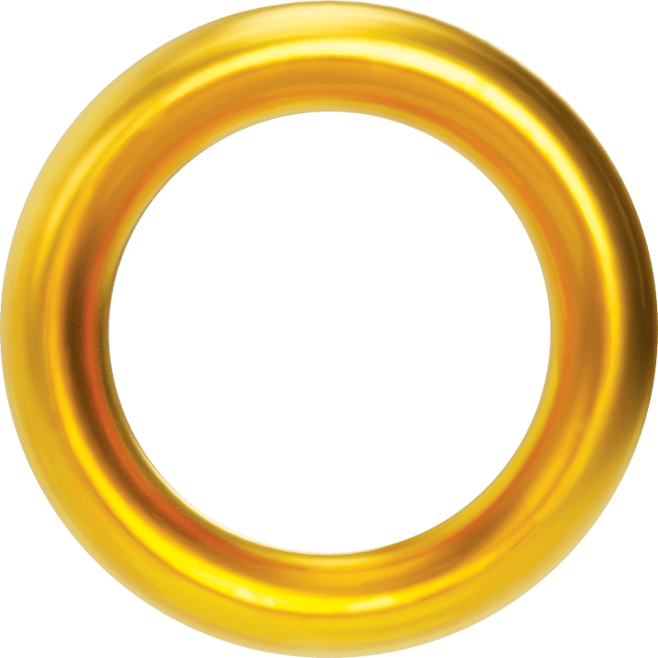 Ring (Sonic Series) AI Voice