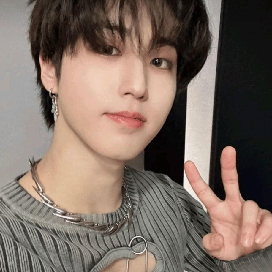 Han Straykids  AI Voice