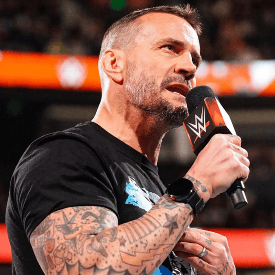 CM PUNK AI Voice