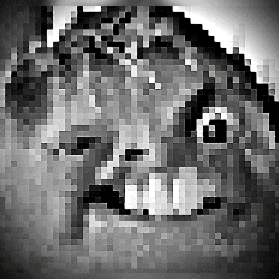 Greynub AI Voice