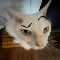 Voice AI Voice