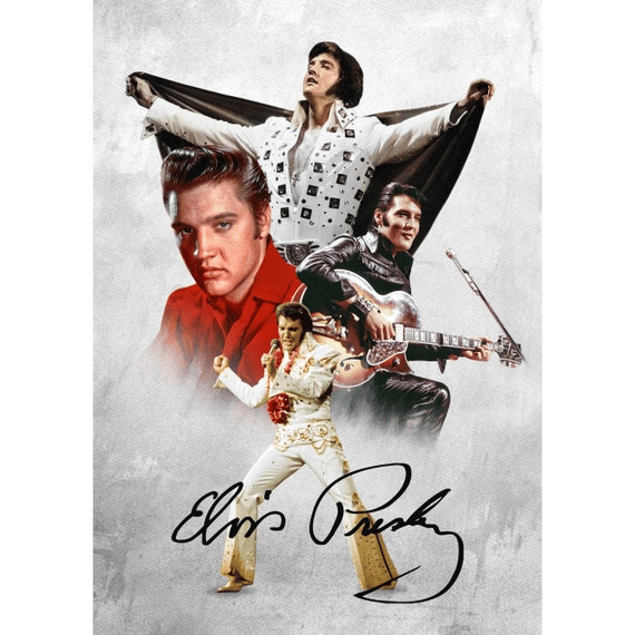 Elvis Ai Voice AI Voice
