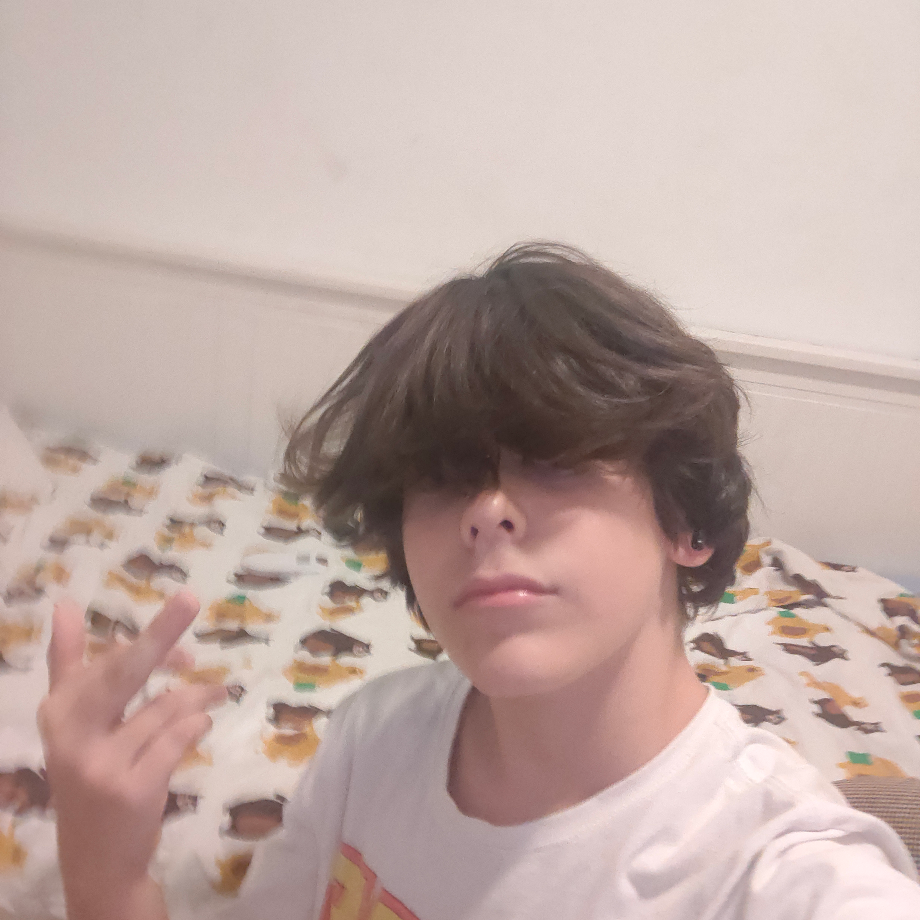 Voice AI Voice
