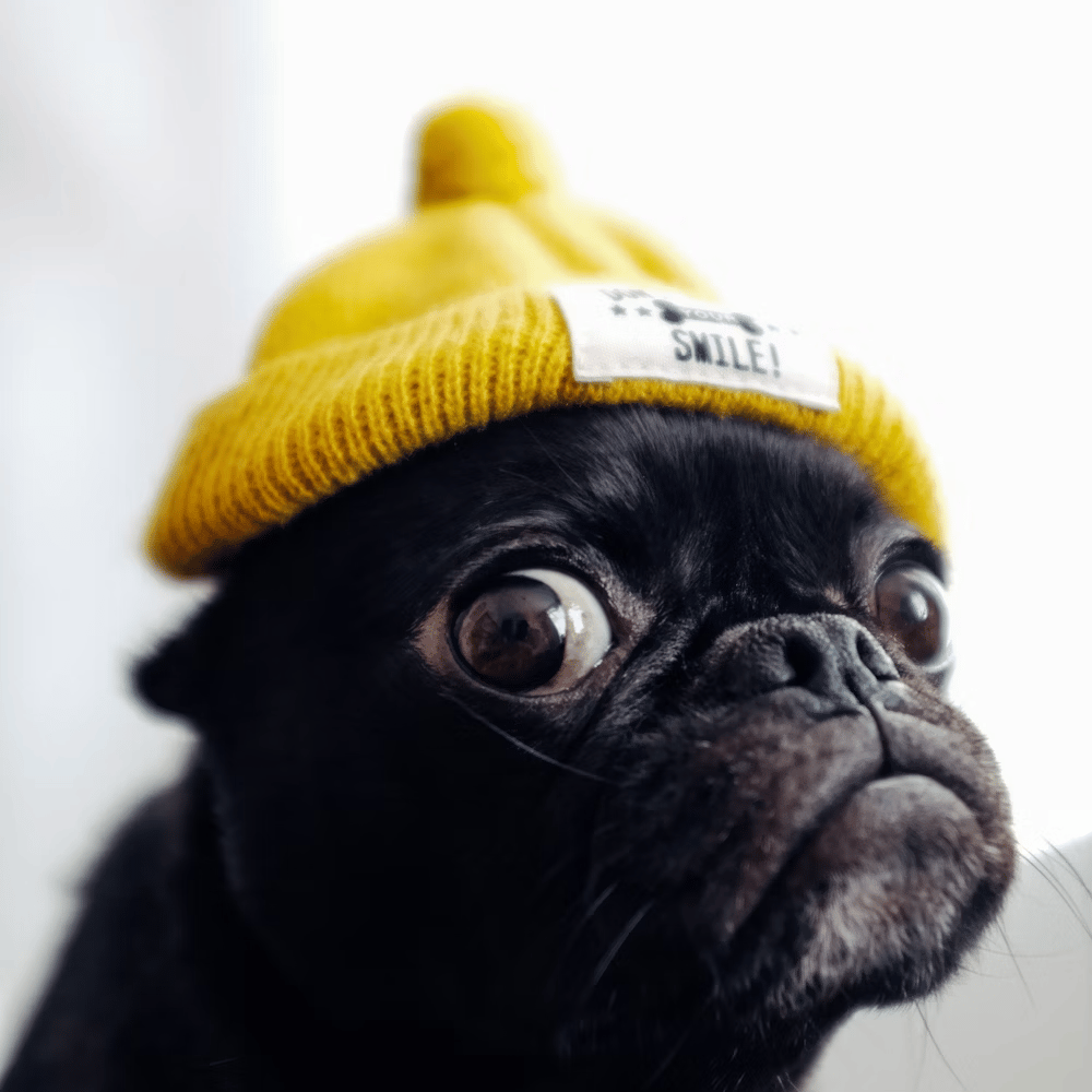 Voice AI Voice