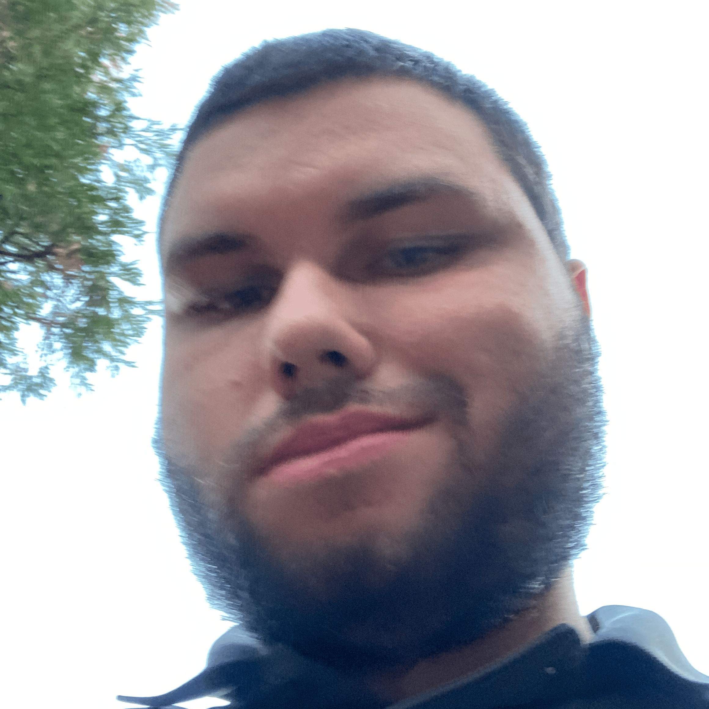 Braden Baum Model 3 AI Voice