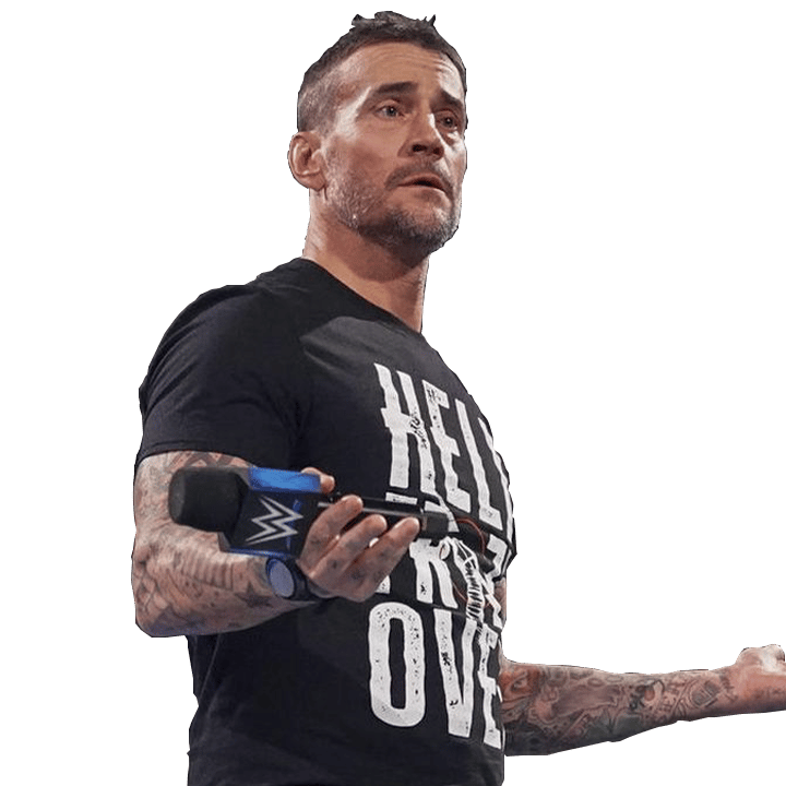 CM Punk Promo | Nallyd AI Voice