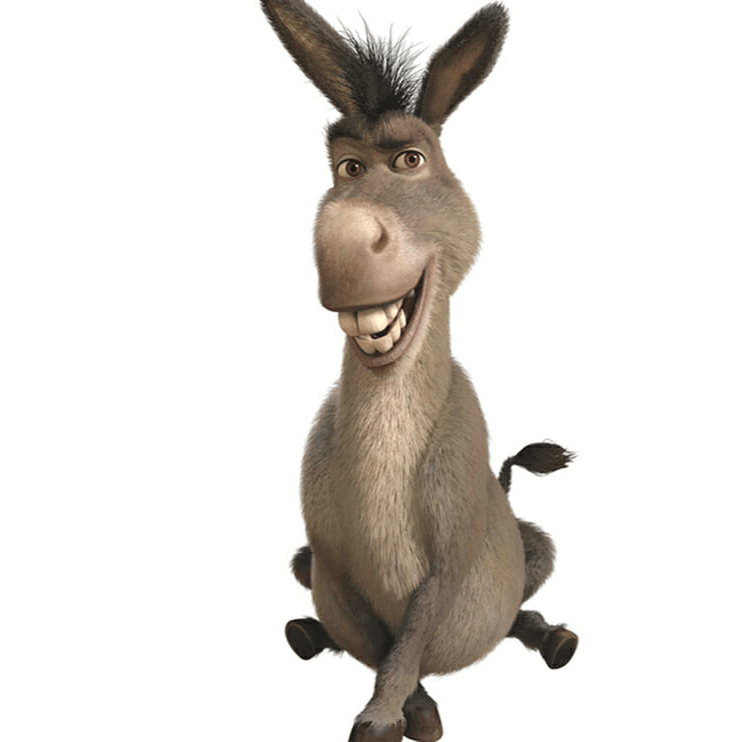 Donkey VA AI Voice