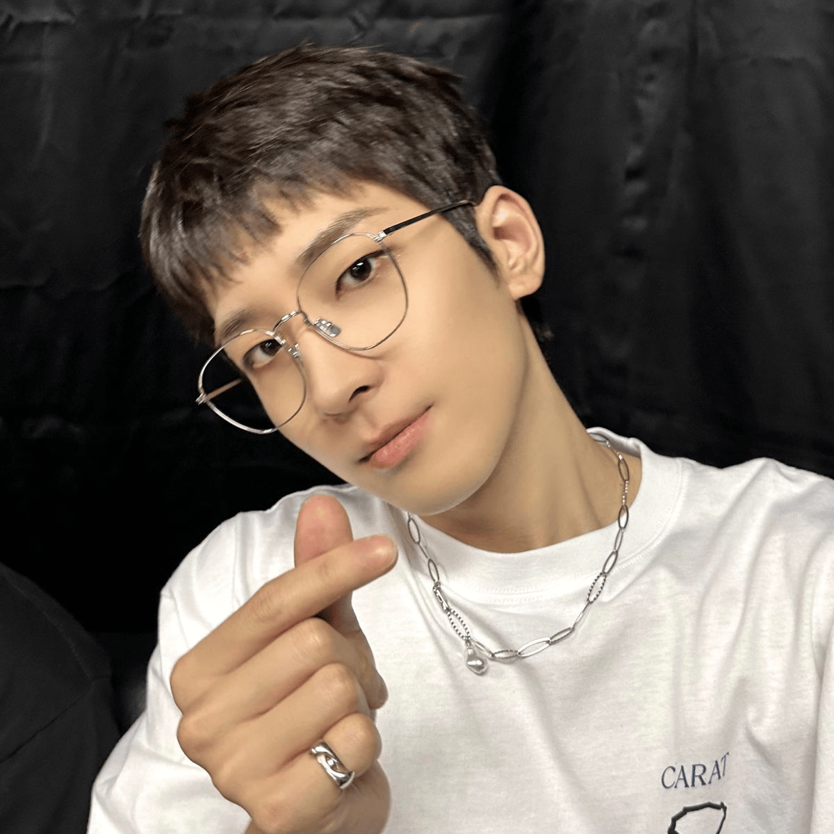 AI Wonwoo Voice Model AI Voice