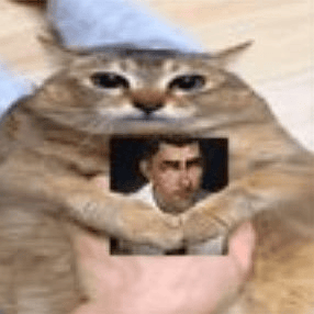 Ivomm profile picture