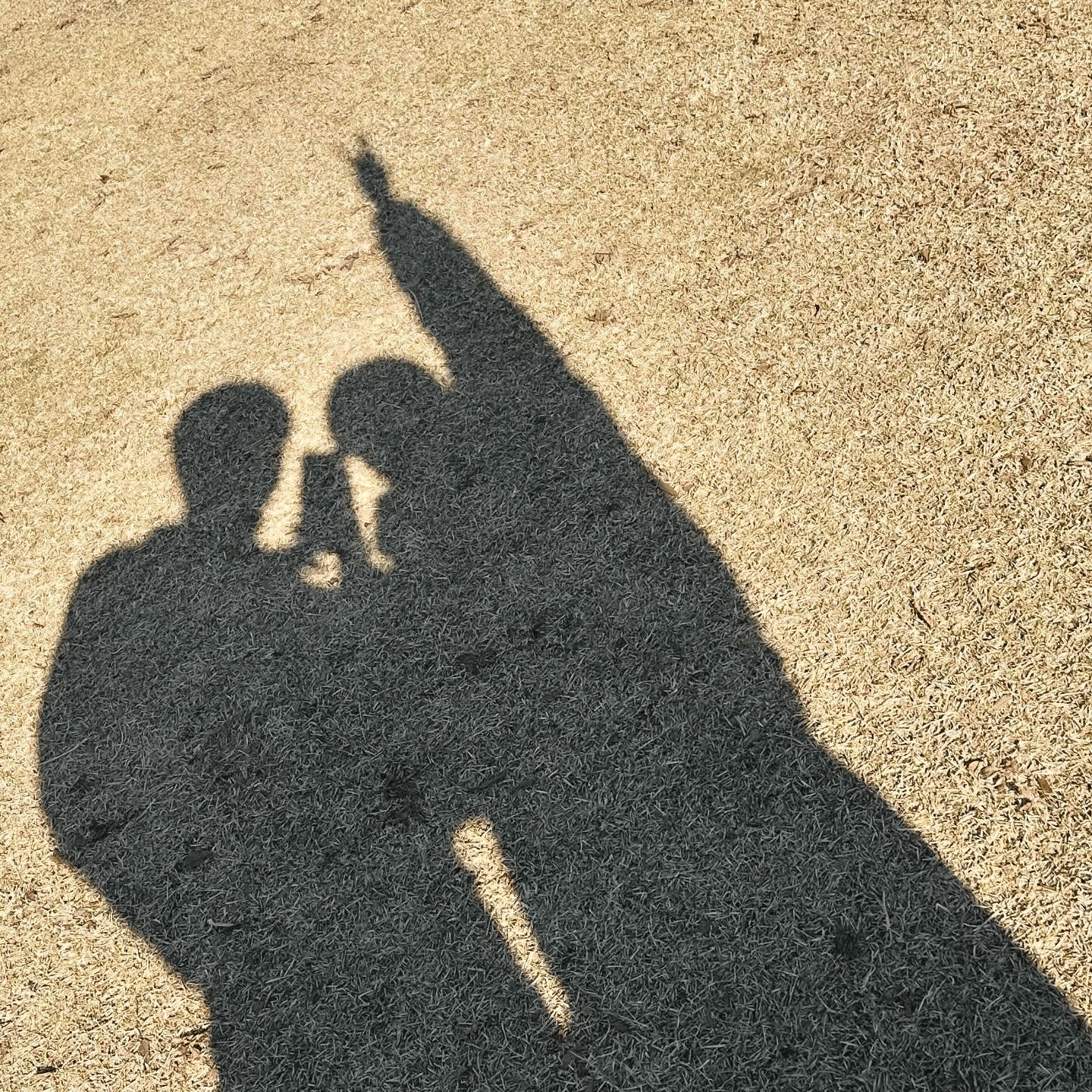 sanriwooz profile picture