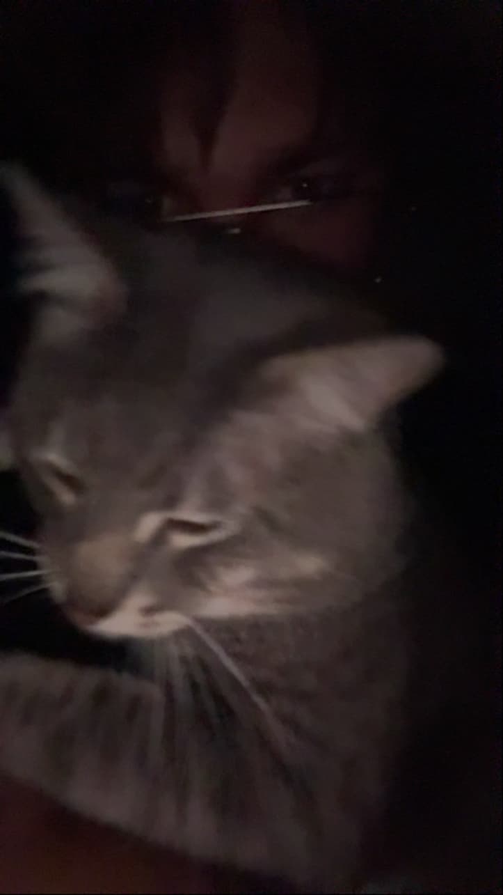 bojangals99 profile picture