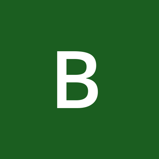 bibibus1733 profile picture
