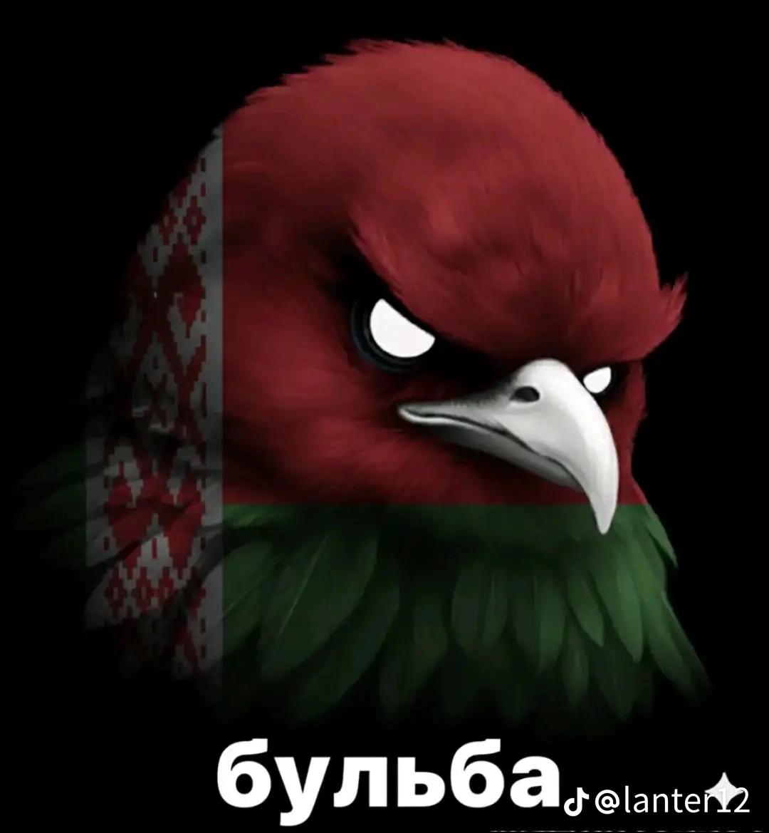 Talip profile picture