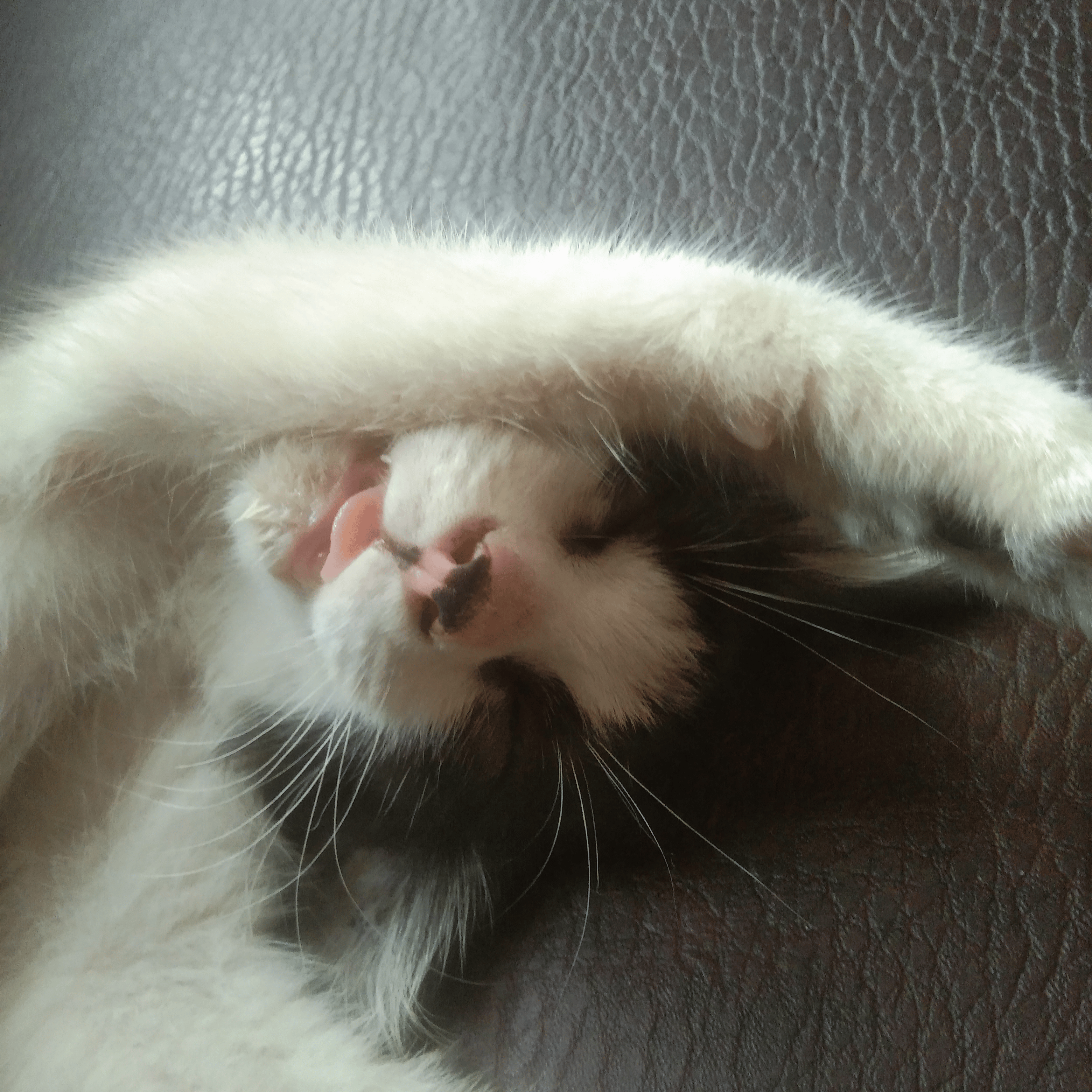 butflyy profile picture