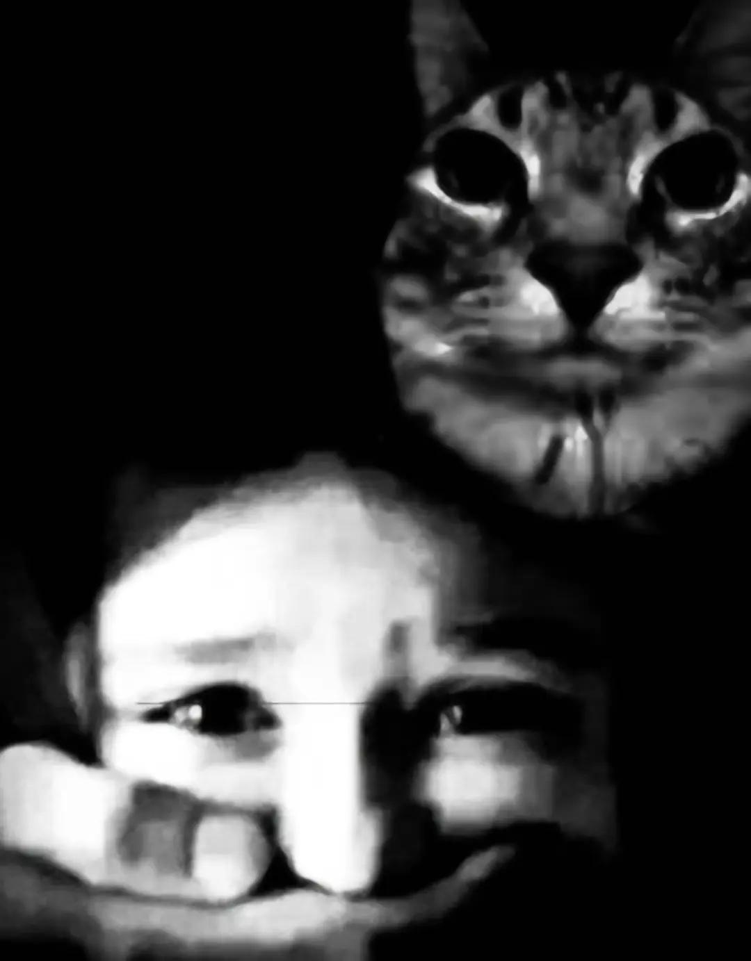 stallspb profile picture
